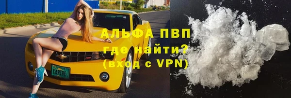 стаф Бородино