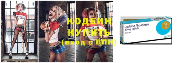 стаф Бородино