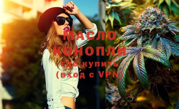 стаф Бородино