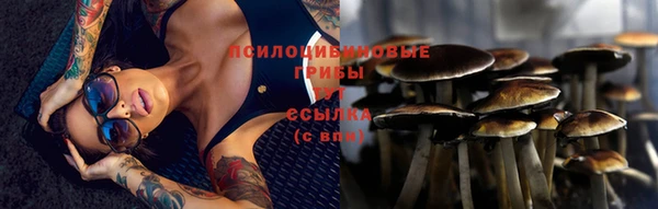 не бодяженный Козловка
