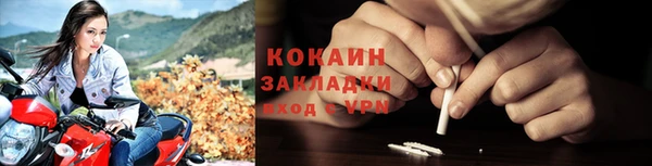 стаф Бородино