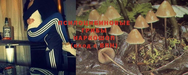 стаф Бородино