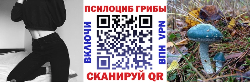 Галлюциногенные грибы Psilocybine cubensis  ОМГ ОМГ ССЫЛКА  Звенигово  дарнет шоп 